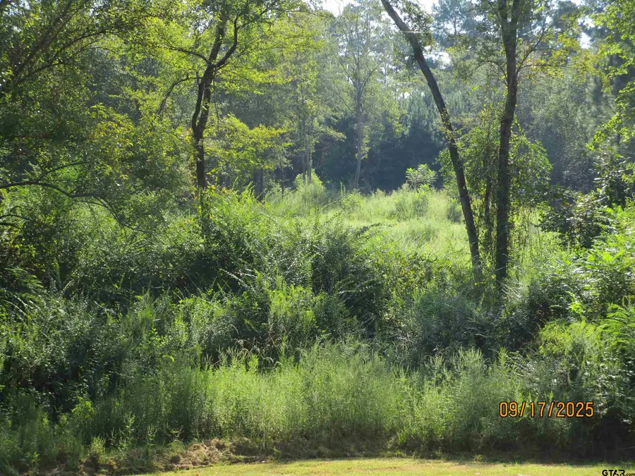 19874 FM 345, Arp, TX 75750 - Image #2