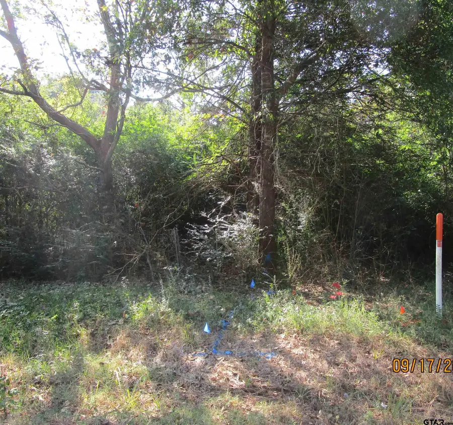 19874 FM 345, Arp, TX 75750 - Image #3