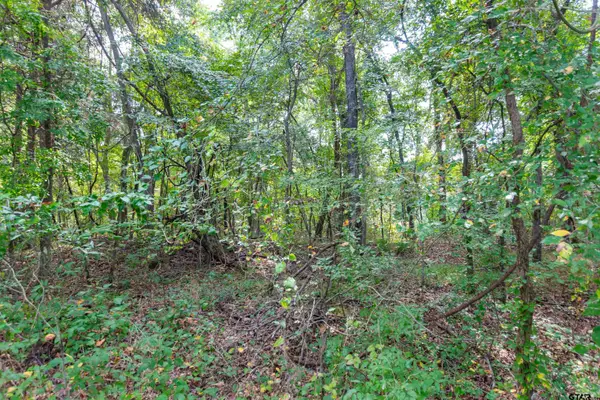 19555 CR 178, Flint, TX 75762