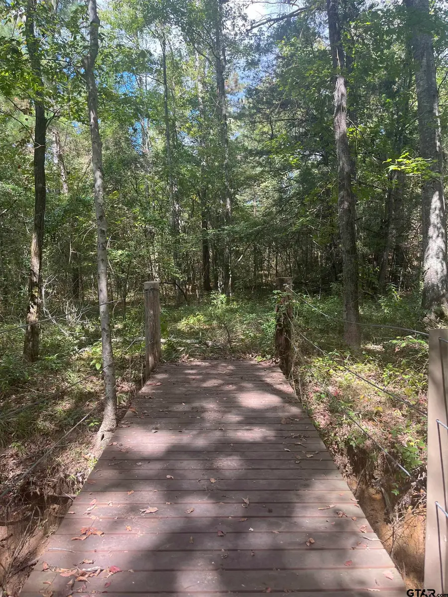 19555 CR 178, Flint, TX 75762 - Image #2