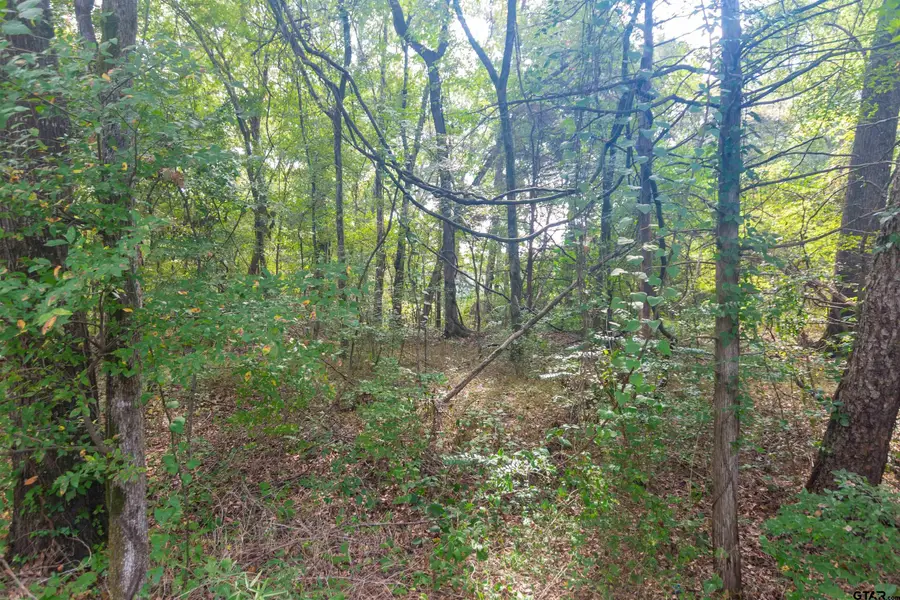 19555 CR 178, Flint, TX 75762 - Image #3