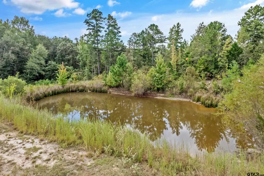 20517 County Road 452, Mineola, TX 75773 - Image #3