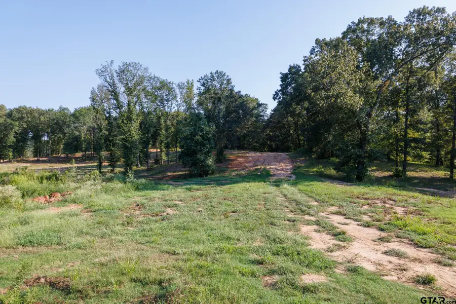 TBD CR 480 #1, Lindale, TX 75771 - Image #3