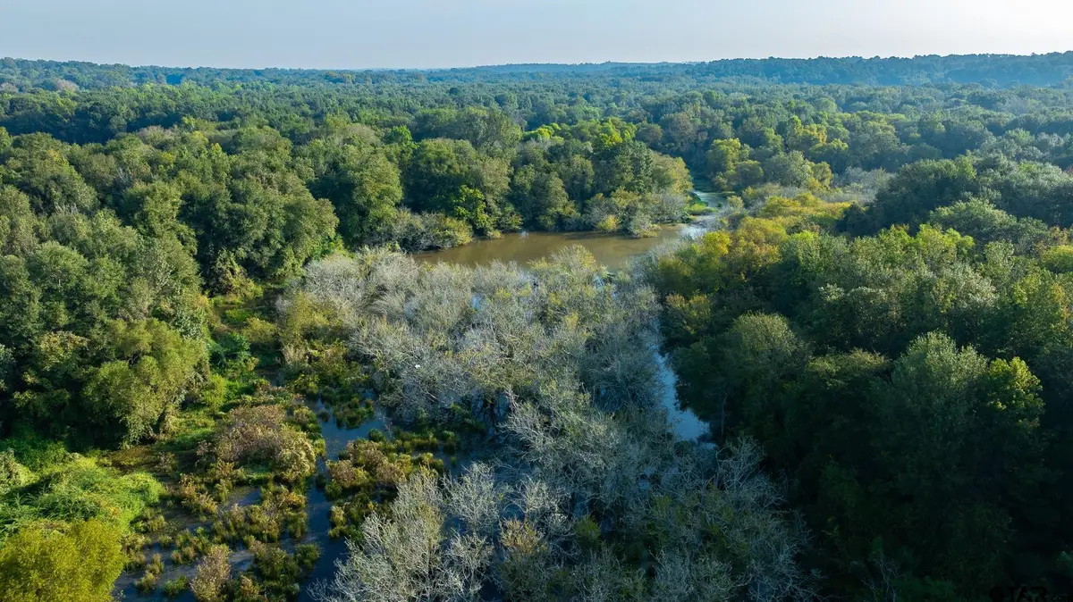 TBD CR 354, Winona, TX 75792 - Image #1