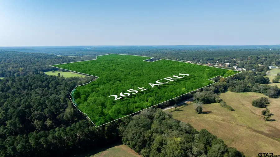 TBD CR 354, Winona, TX 75792 - Image #2