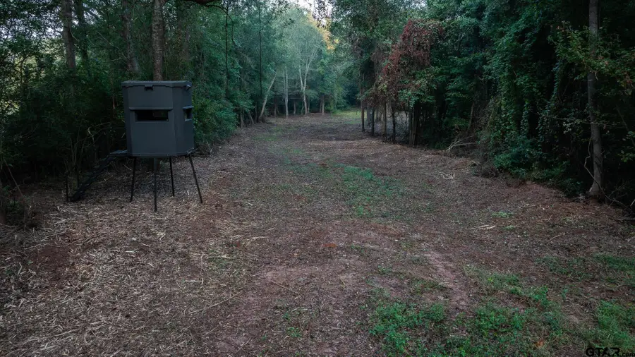 TBD CR 354, Winona, TX 75792 - Image #3