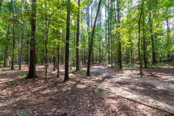 153 CR 319 W, Tyler, TX 75706