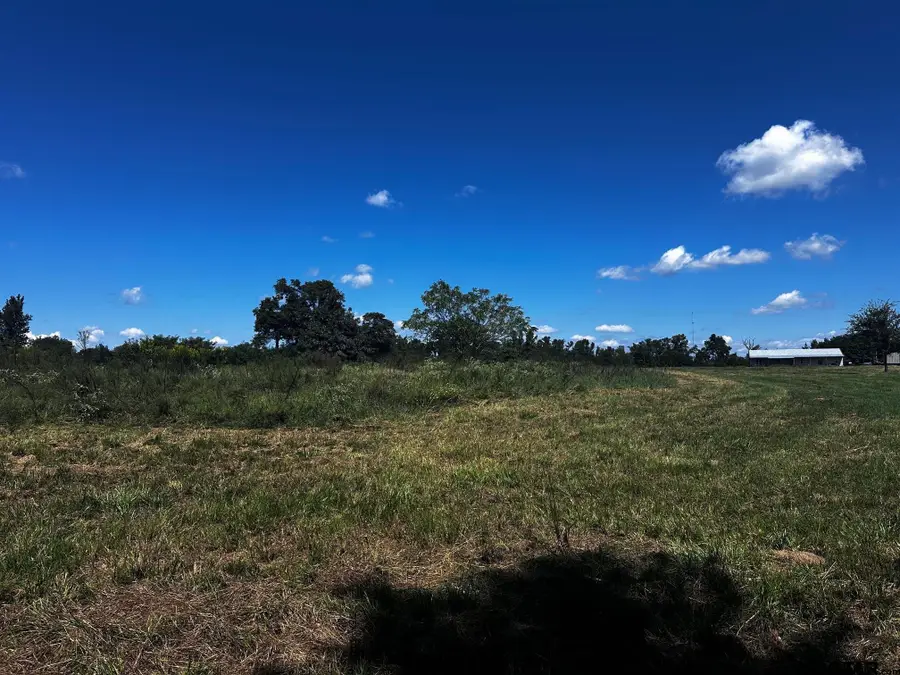 TBD FM 858, Ben Wheeler, TX 75754 - Image #2