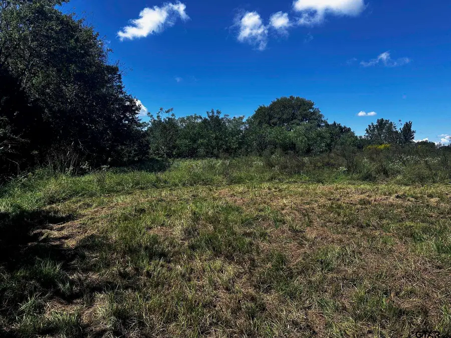 TBD FM 858, Ben Wheeler, TX 75754 - Image #3
