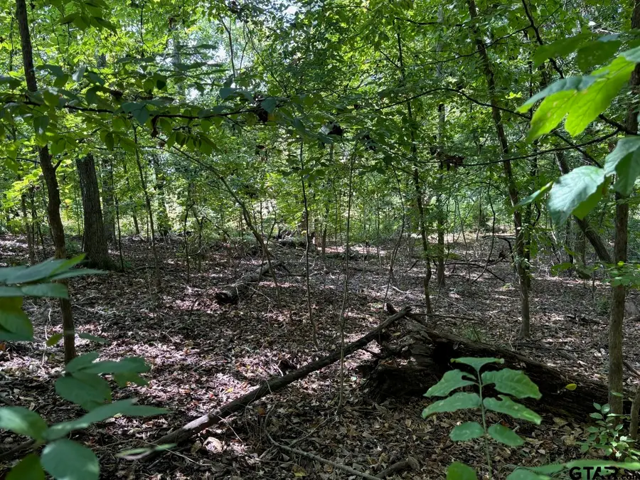 Lot 5 Paradise Lane, Flint, TX 75762 - Image #2