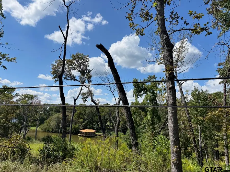 Lot 5 Paradise Lane, Flint, TX 75762 - Image #3