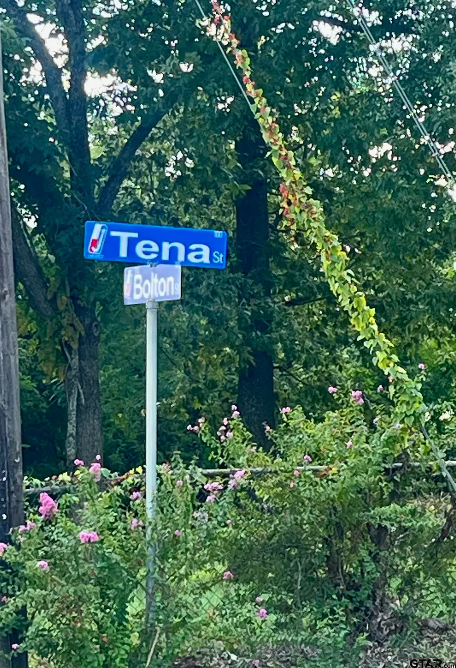 1301 S Bolton St, Jacksonville, TX 75766 - Image #2