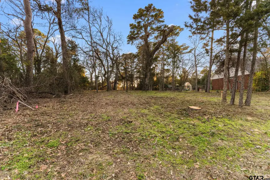 16029 Cumberland Way, Bullard, TX 75757 - Image #3