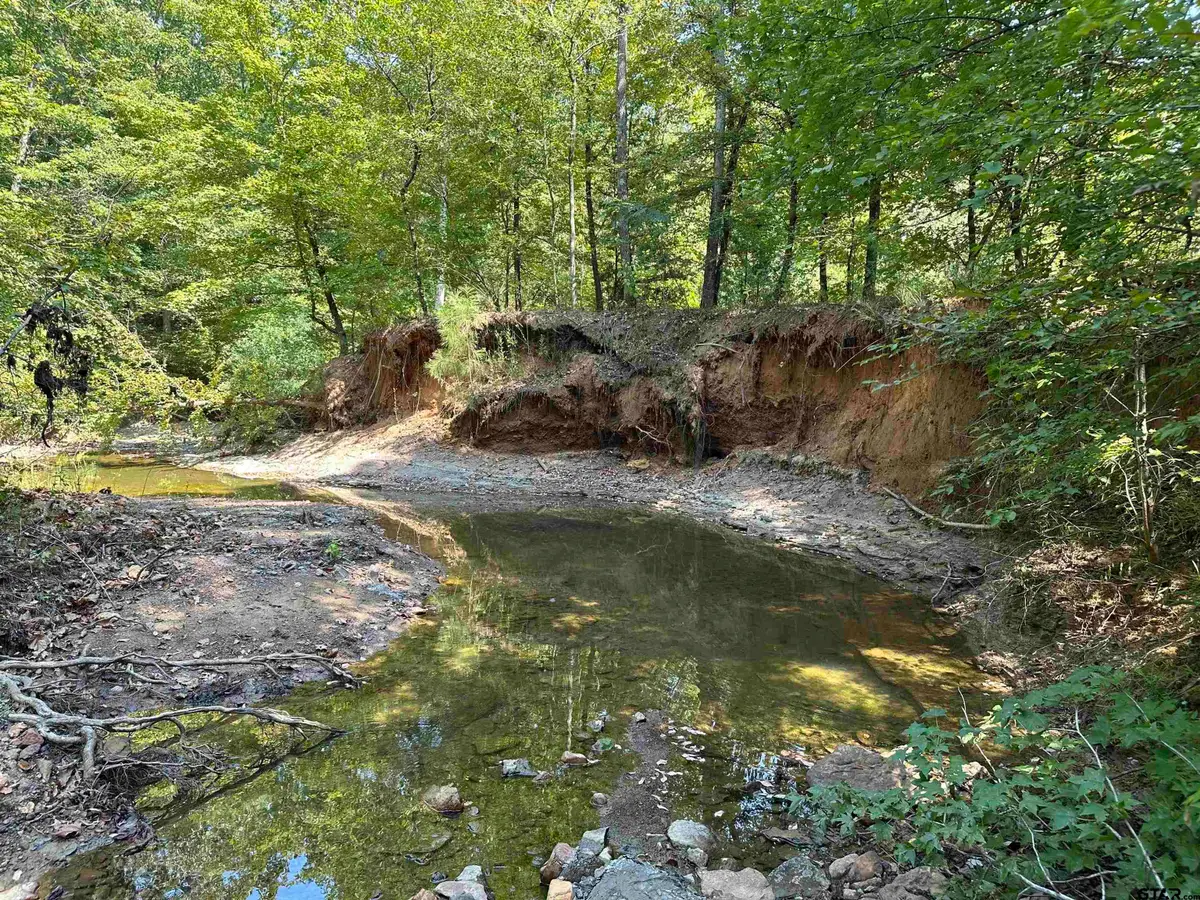 TBD CR 1101, Rusk, TX 75785 - Image #1