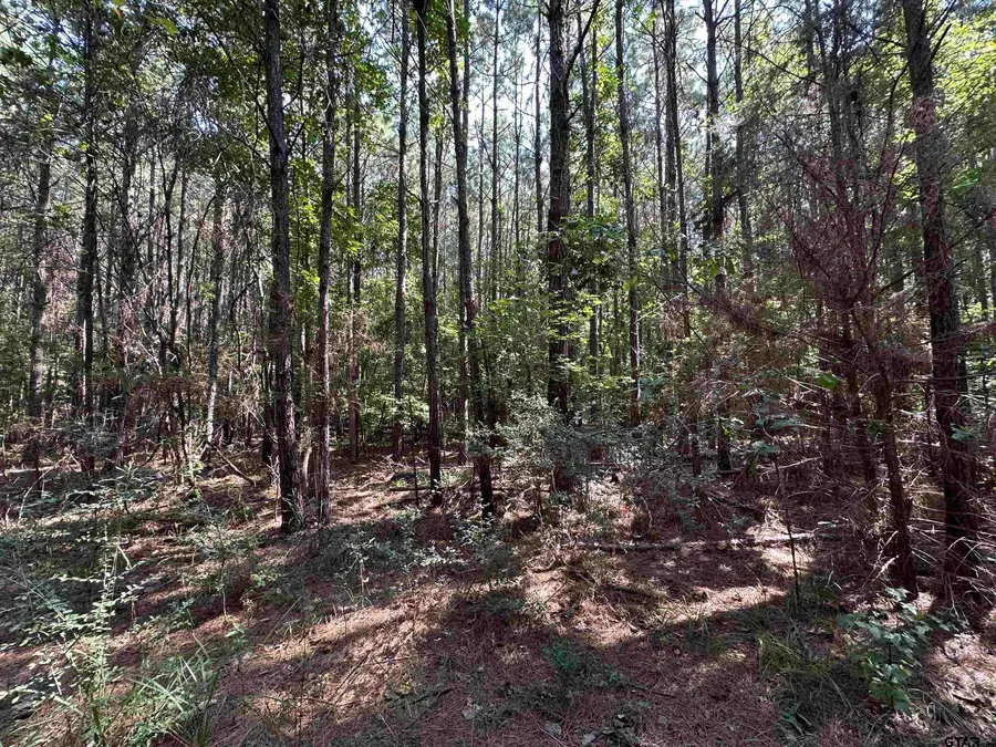 TBD CR 1101, Rusk, TX 75785 - Image #2