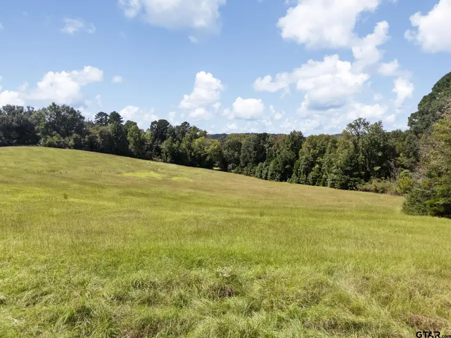 TBD CR 1513, Jacksonville, TX 75766 - Image #3