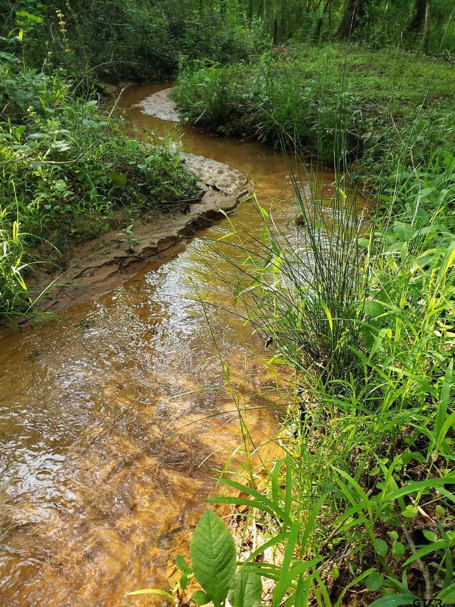 20039 CR 450, Lindale, TX 75771 - Image #3