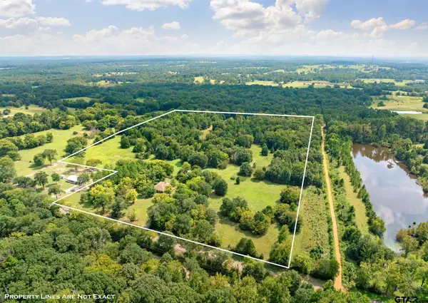 3679 FM 858, Ben Wheeler, TX 75754