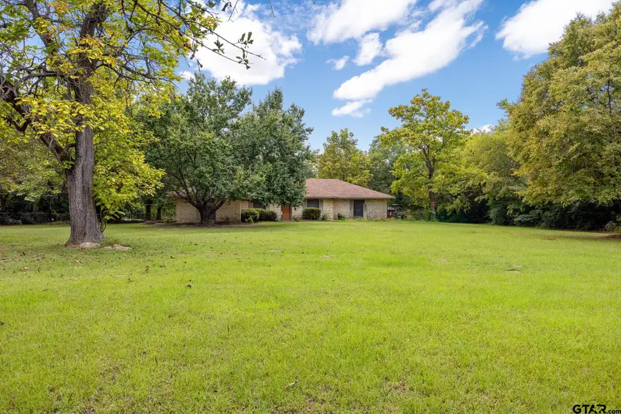 3679 FM 858, Ben Wheeler, TX 75754 - Image #3