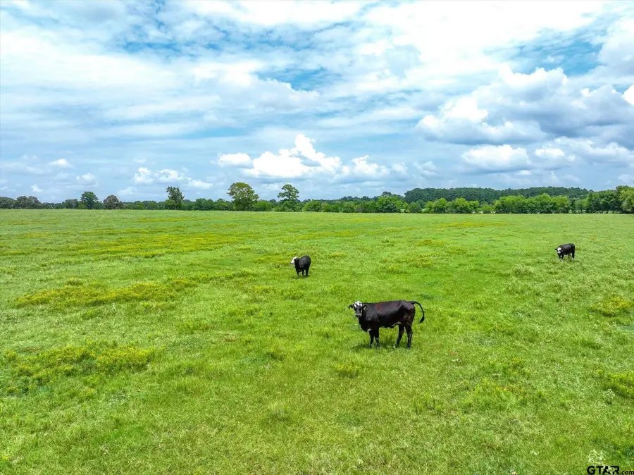 Tract 7 County Road 3415, Jacksonville, TX 75766 - Image #2