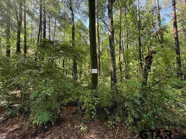 TBD CR 4194 Tr 1-3, Henderson, TX 75654 - Image #3