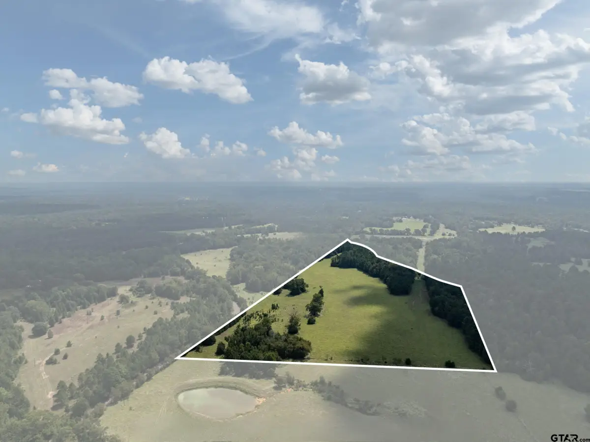 Tract 2 AN COUNTY ROAD 153, Palestine, TX 75801 - #1