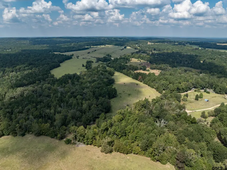 Tract 2 AN COUNTY ROAD 153, Palestine, TX 75801 - #2