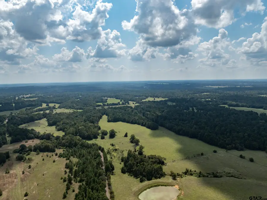 Tract 2 AN COUNTY ROAD 153, Palestine, TX 75801 - #3