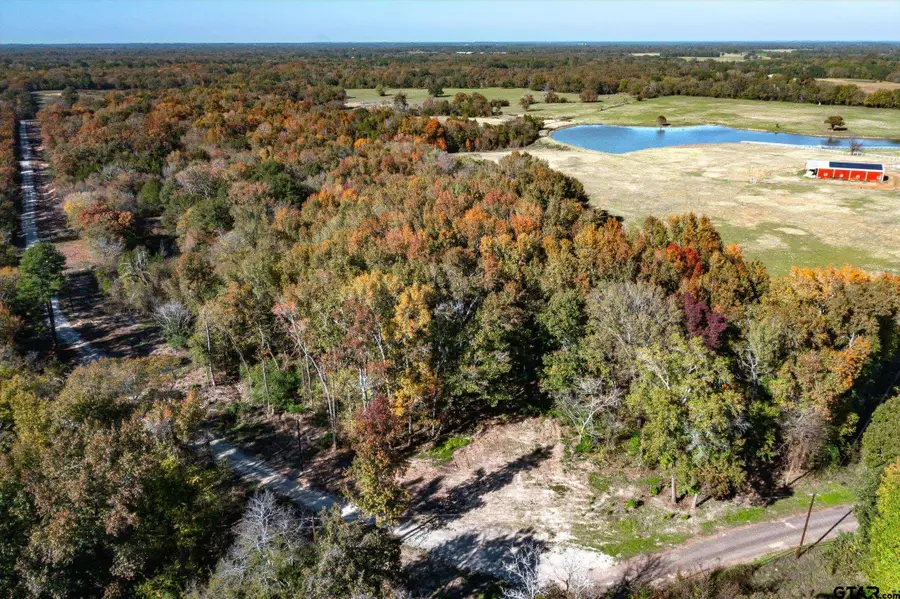 29.51+/- Acres Fm 773, Grand Saline, TX 75140 - Image #3