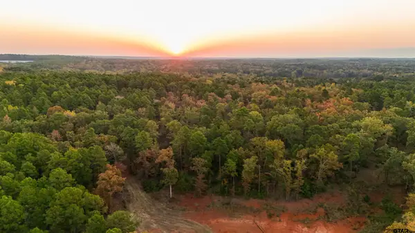 TBD CR 2697, Mineola, TX 75773