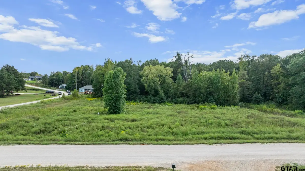 16404 Lepanto Lane, Winona, TX 75792 - Image #1