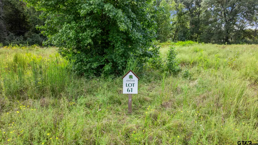 16404 Lepanto Lane, Winona, TX 75792 - Image #2