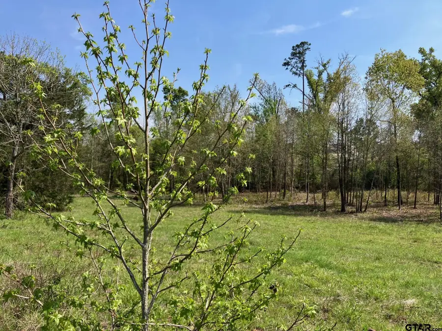 16730 Ridgeline Loop, Winona, TX 75792 - #3