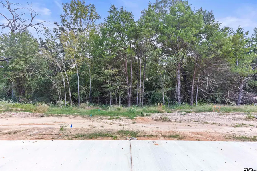 13938 Cedar Hill Lane, Tyler, TX 75704 - Image #2