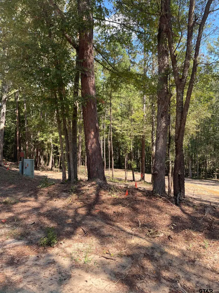 TBD E FM 852, Winnsboro, TX 75494 - Image #3