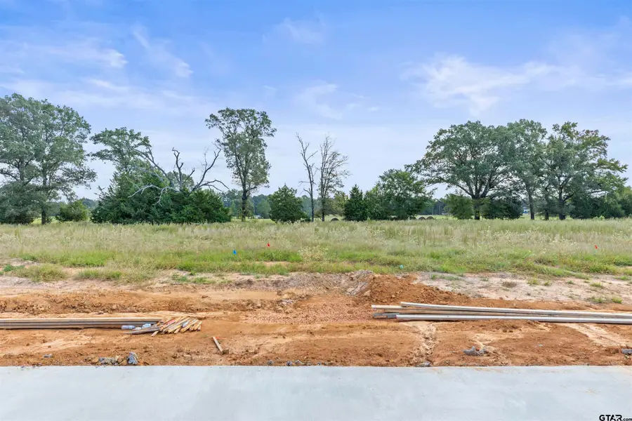 13824 Cedar Hill Lane, Tyler, TX 75704 - Image #2