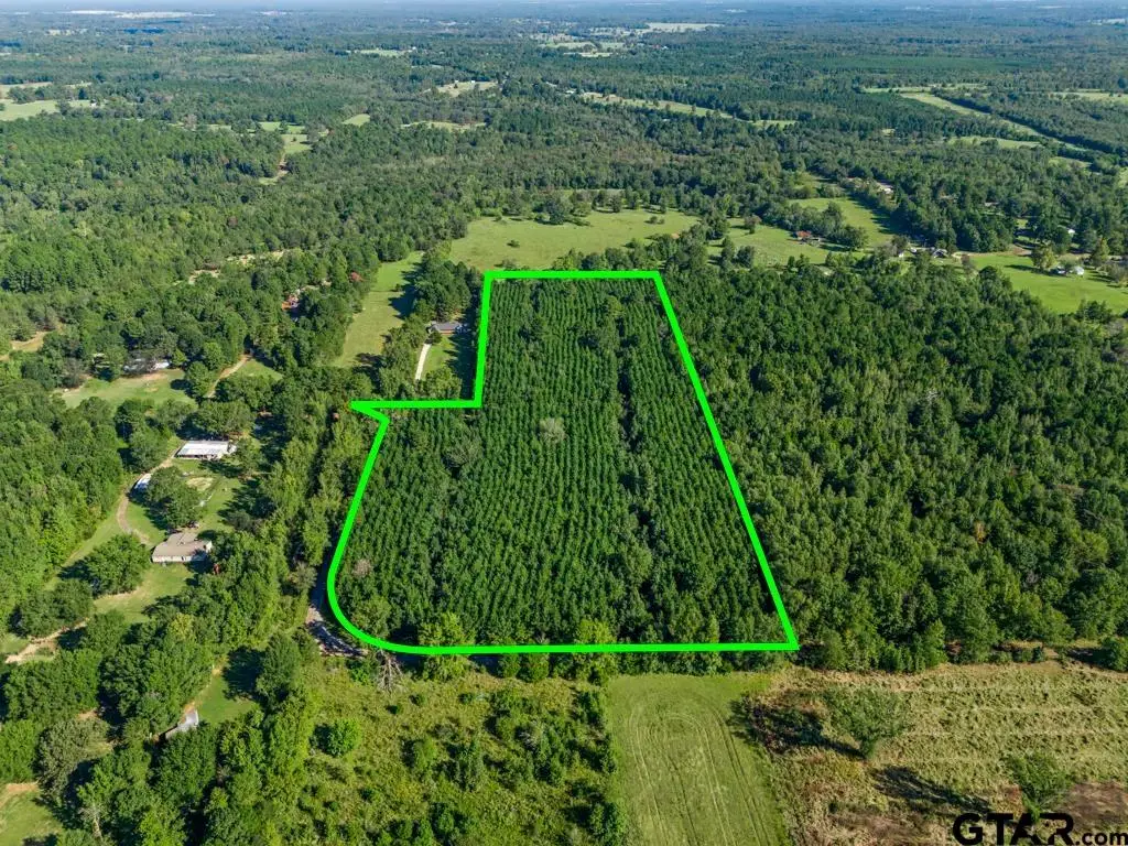 TBD Cat Road, Gilmer, TX 75644 - #1