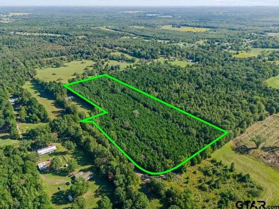 TBD Cat Road, Gilmer, TX 75644 - #2