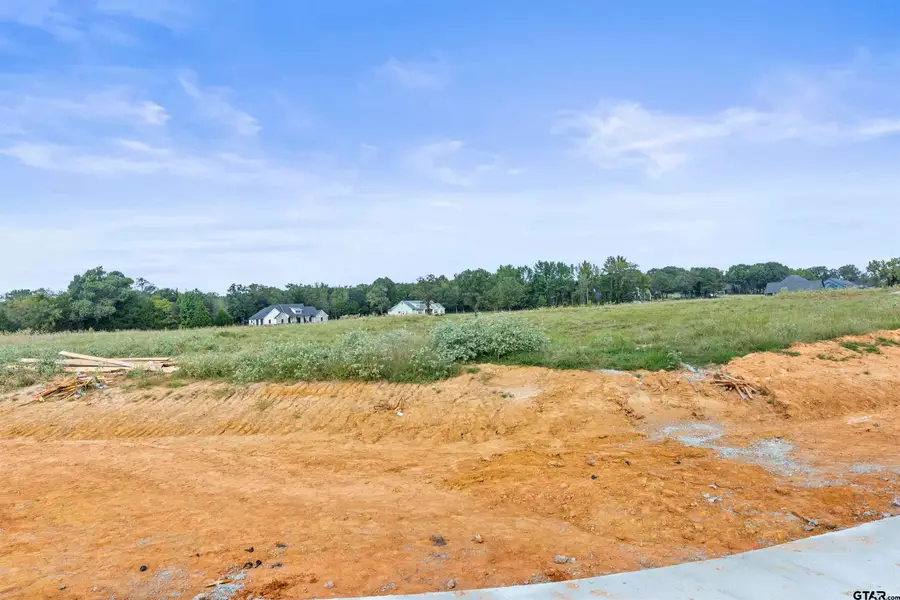 13819 Cedar Hill Lane, Tyler, TX 75704 - Image #2