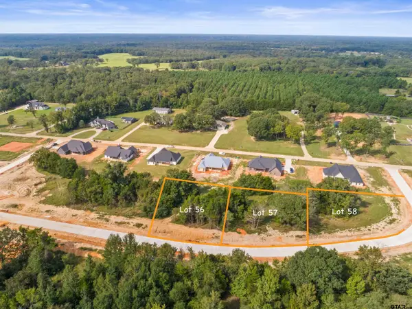 13927 Cedar Hill Lane, Tyler, TX 75704