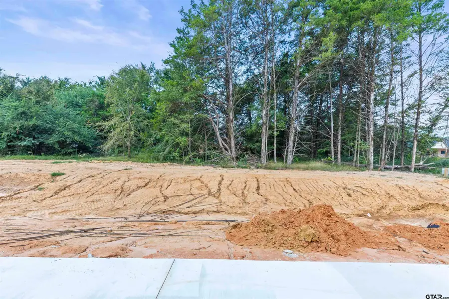 13927 Cedar Hill Lane, Tyler, TX 75704 - Image #3