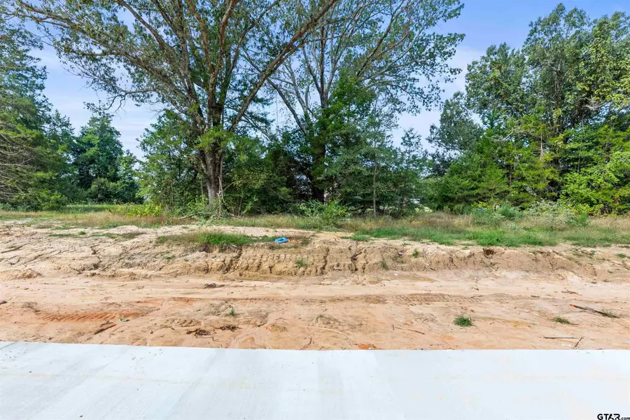 13933 Cedar Hill Lane, Tyler, TX 75704 - Image #3