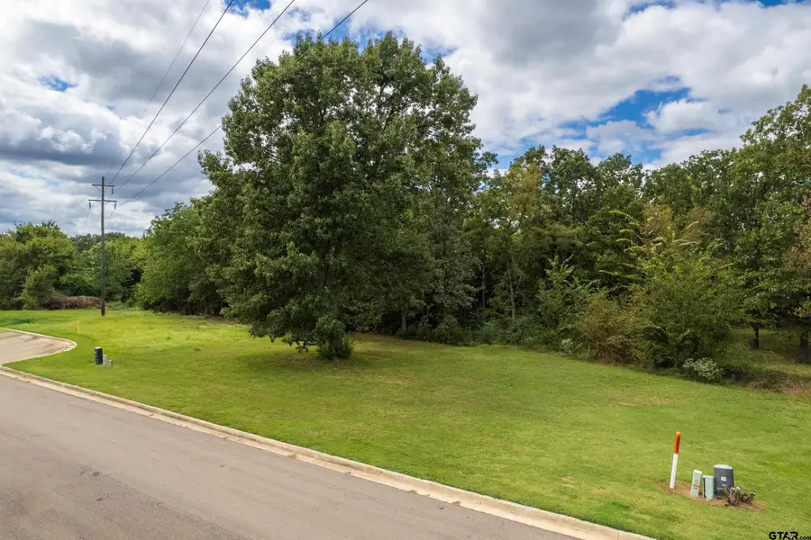 117 Baker, Mount Vernon, TX 75457 - Image #3