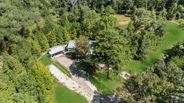 905 CR 4914, Ben Wheeler, TX 75754