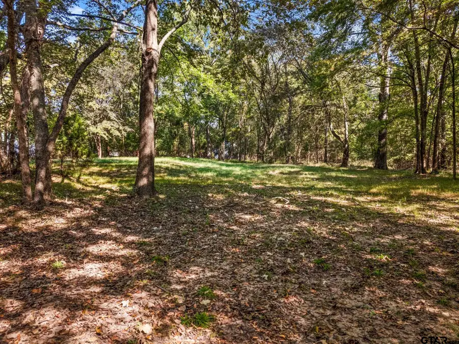 CR 2415 and 2452, Pittsburg, TX 75686 - Image #2