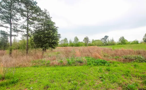 TBD (Lot 36) Ridgeline Loop, Winona, TX 75792