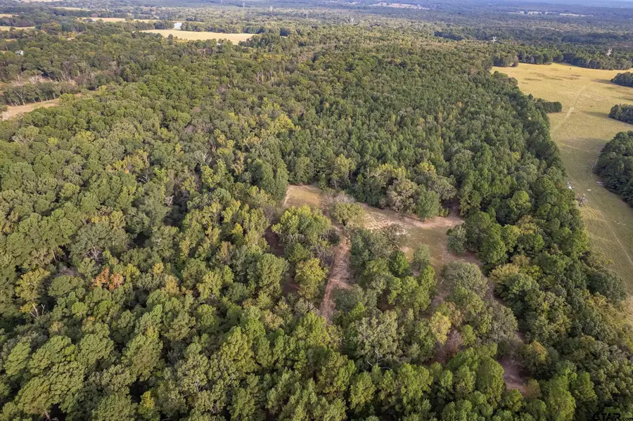 13130 County Road 4124, Lindale, TX 75771 - Image #3