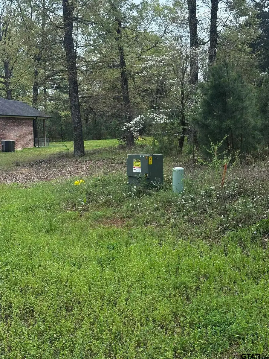 18304 Timber Oaks, Lindale, TX 75771 - #2