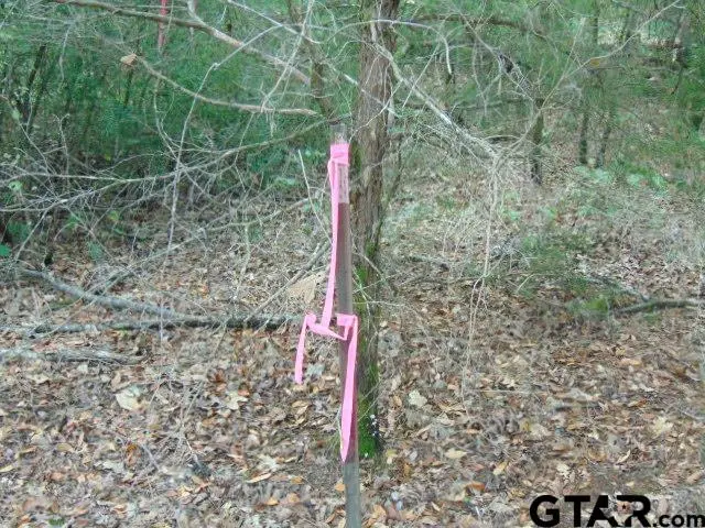 200 1605, Jacksonville, TX 75766 - Image #3