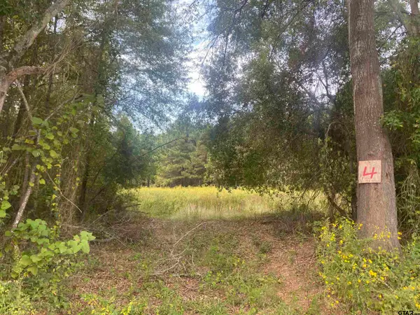 lot 1 CR  3526, Cuney, TX 75759